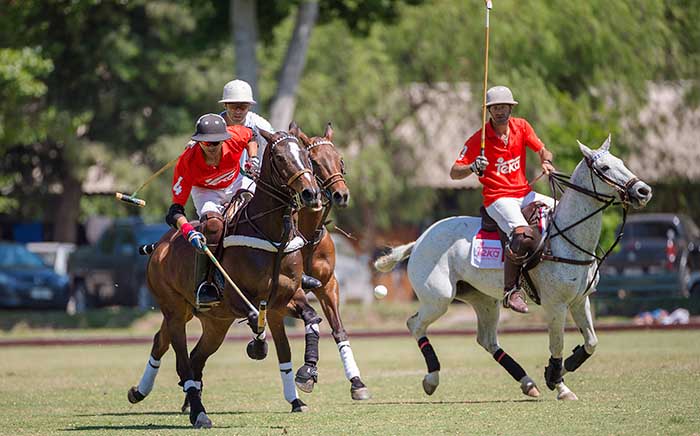 Horses and players playing polo with the Teka sport equipment in Chile